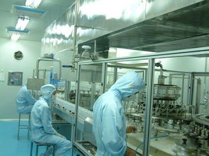 药品生产技术 从生产到营销的全链路探索