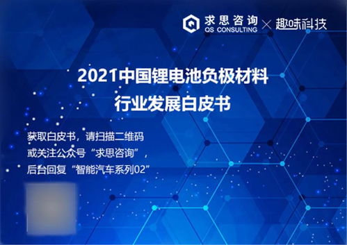 锂电池负极材料白皮书 技术咨询与市场前景